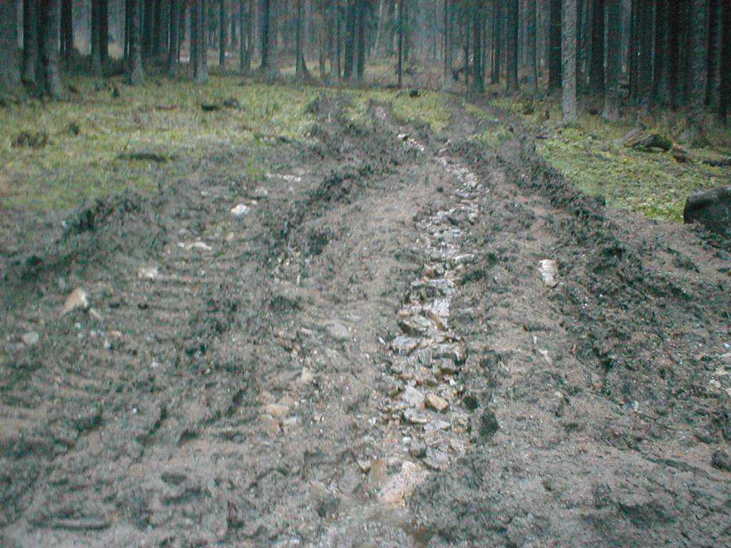 Detail obrzku | Kliknutm na obrzek zavete okno.