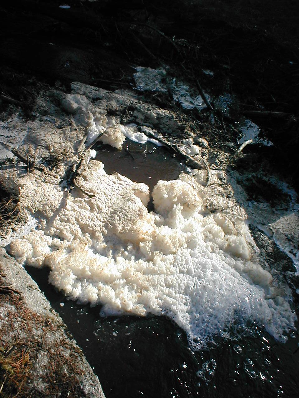 Detail obrzku | Kliknutm na obrzek zavete okno.