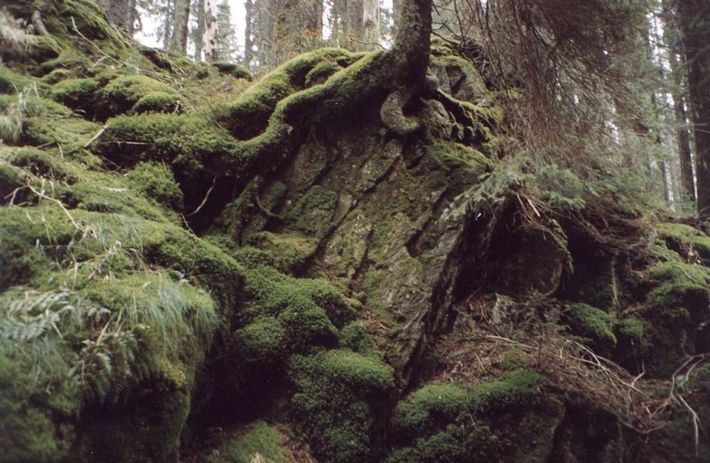Detail obrzku | Kliknutm na obrzek zavete okno.