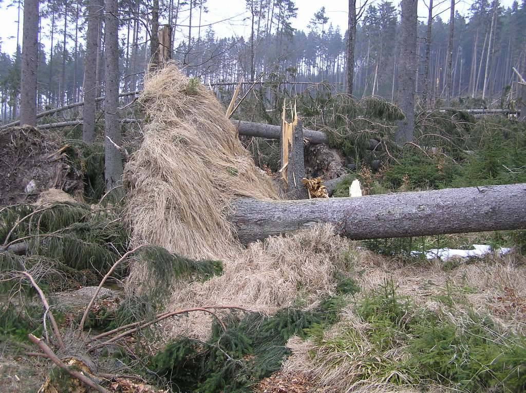 Detail obrzku | Kliknutm na obrzek zavete okno.