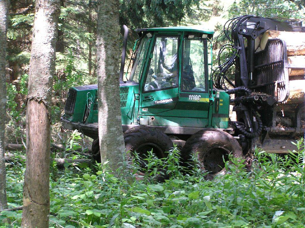 Detail obrzku | Kliknutm na obrzek zavete okno.