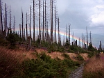 rainbow.jpg