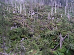 p8262483.jpg