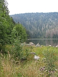 Photo1.jpg