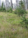Photo10.jpg