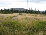 Photo11.jpg