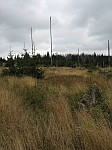 Photo13.jpg