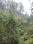 Photo18.jpg