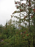 Photo19.jpg
