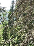 Photo2.jpg