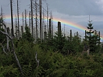 Photo25.jpg